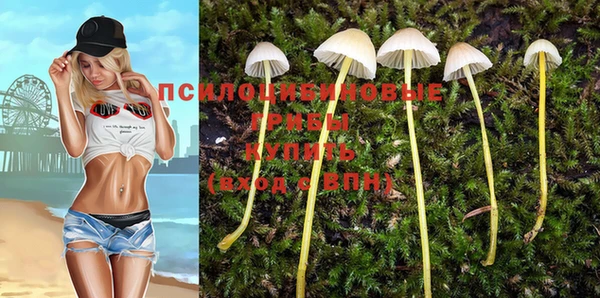 скорость Магас