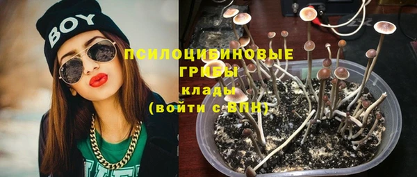 твердый Магадан